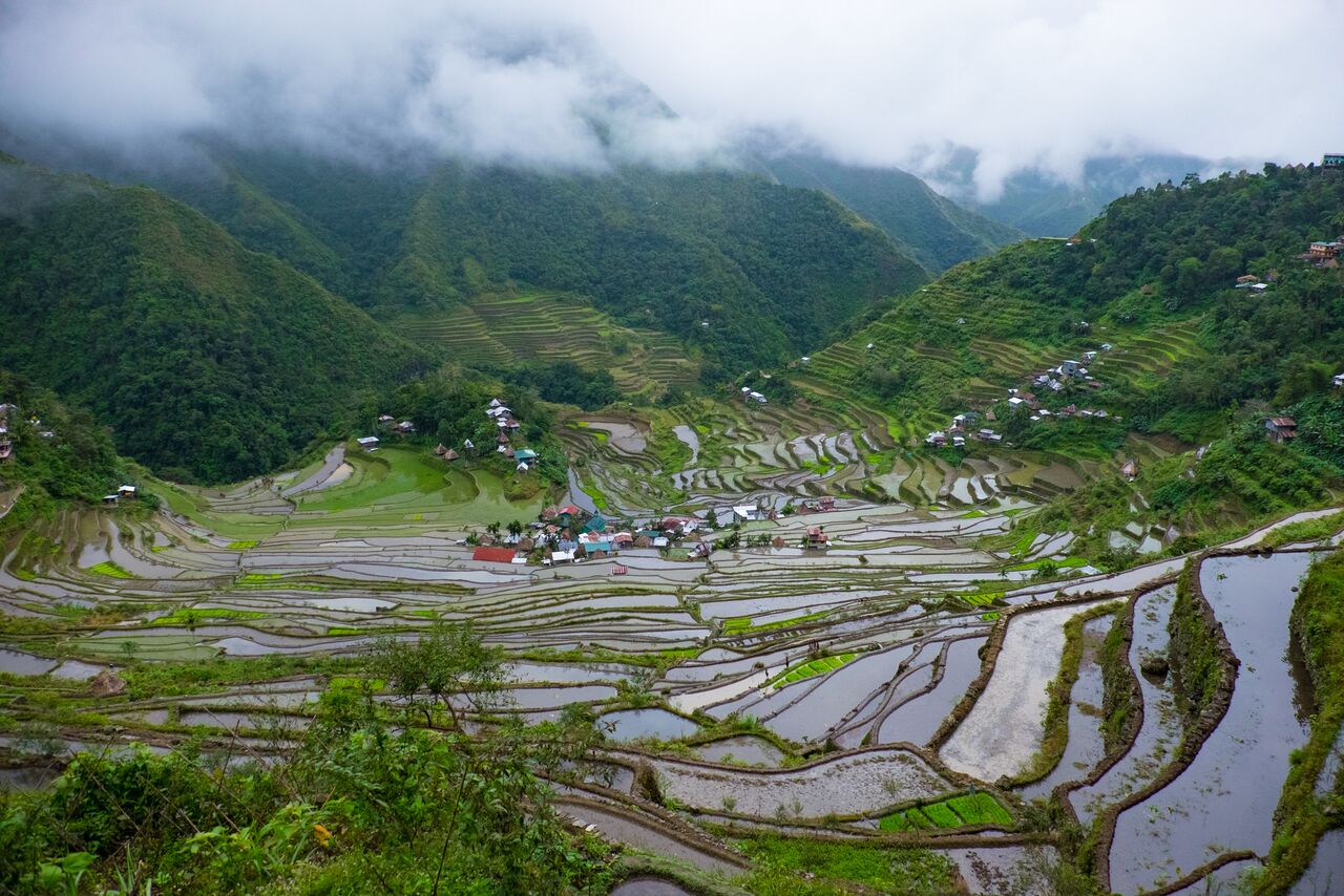 The rice terraces in Banaue